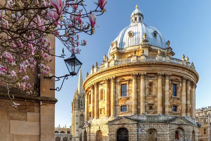 Radcliffe Camera Oxford with magnolia blossoms in spring sunshine against blue sky
