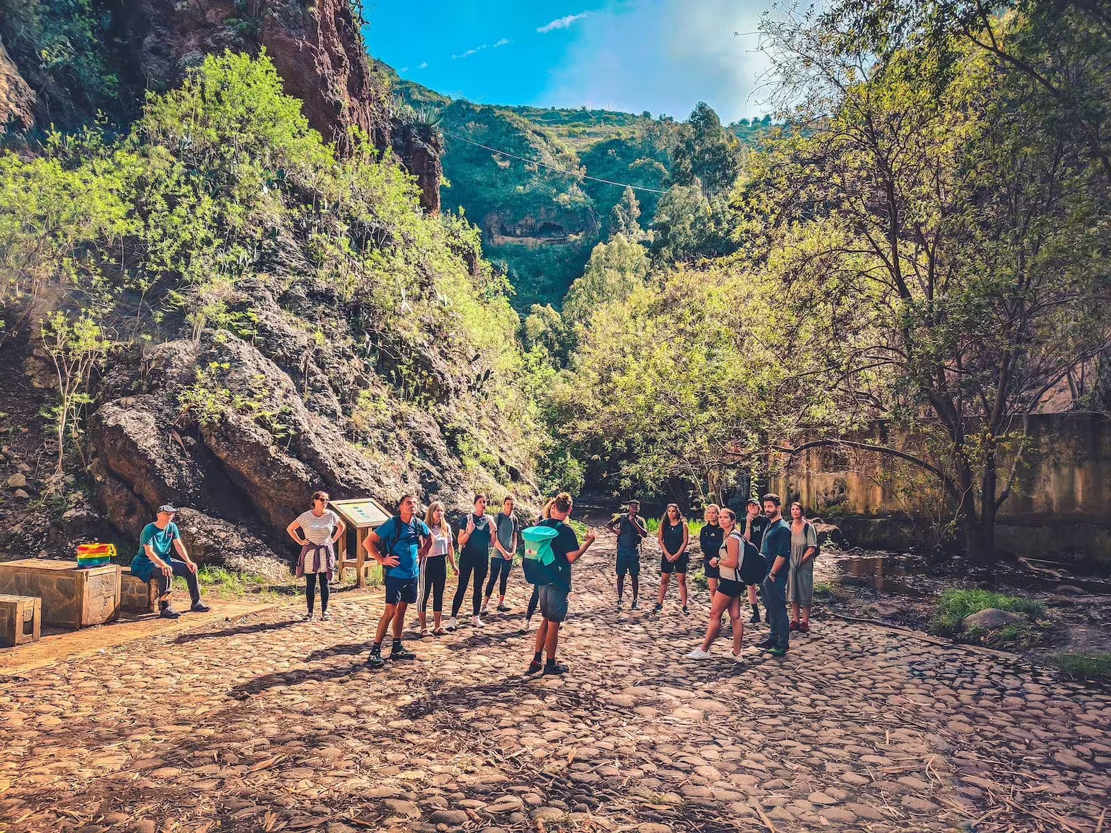 Group of tourists gathered in a scenic rainforest clearing during a guided small group adventure tour.