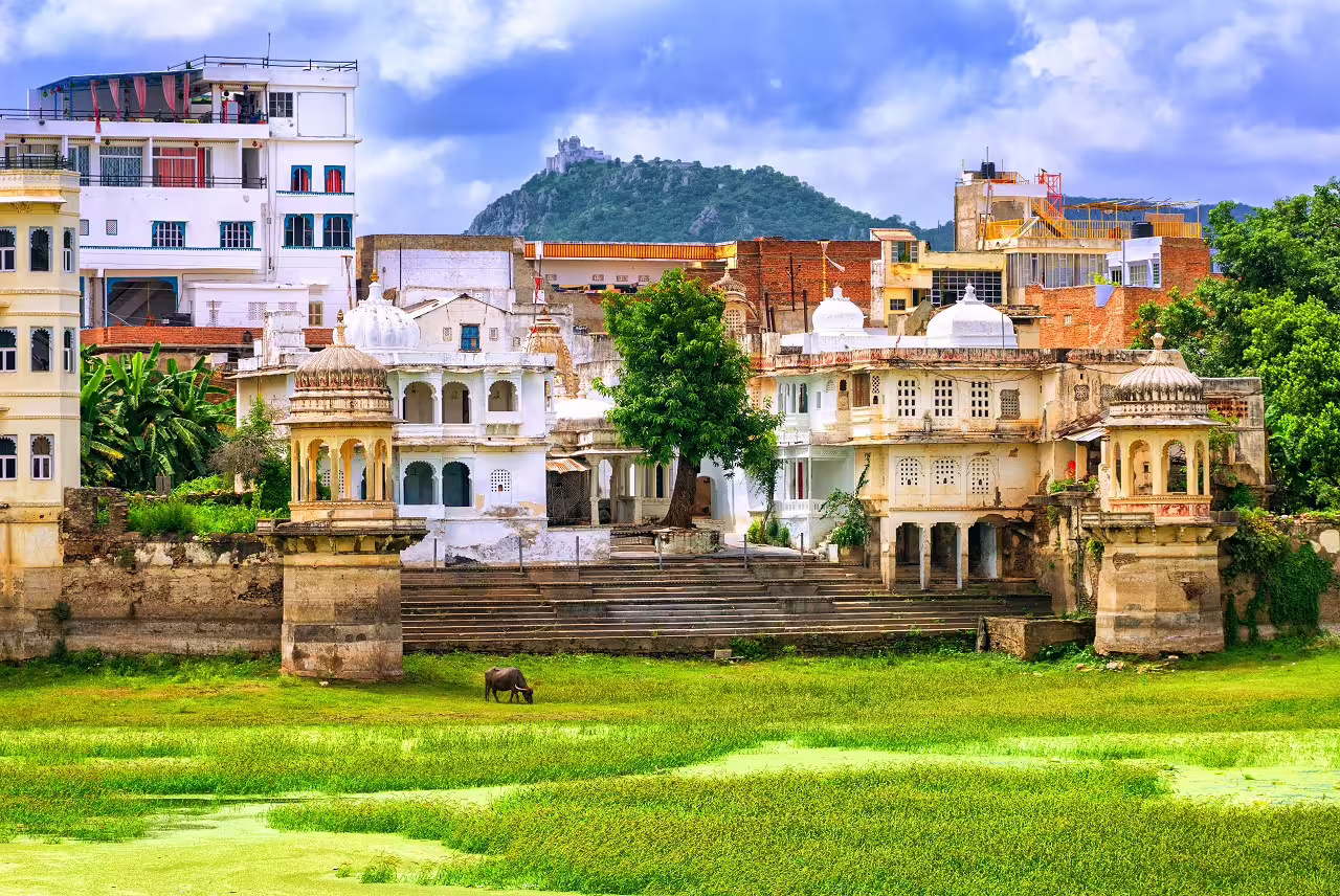 Scenic view of traditional Rajasthani architecture by a lush green field in Rajasthan, India.