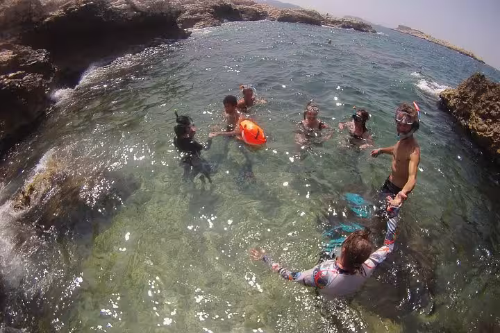 Group snorkeling in crystal-clear cove on Rando-Palmée island tour, guided sea swim among rocky shores