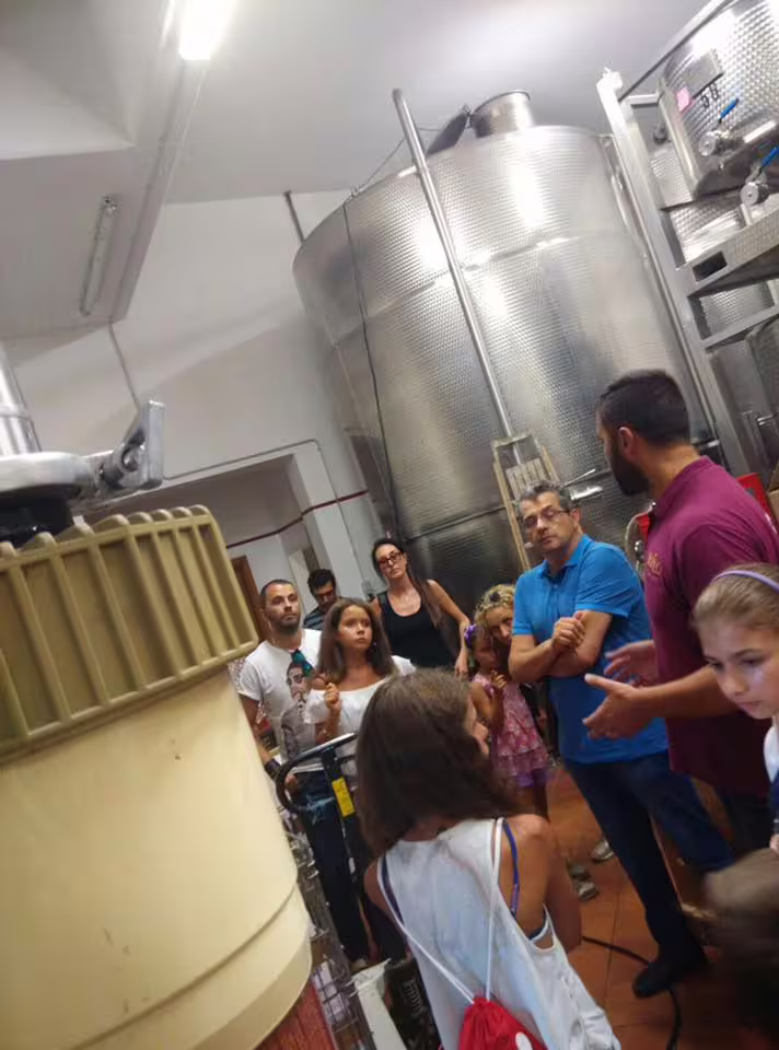 Visita guidata in cantina Rapino tra serbatoi d’acciaio, tour enologico con degustazione vini in Abruzzo