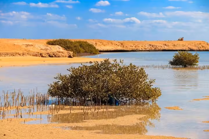 Mangrove lagoon and shallow waters at Ras Mohamed National Park, a Sharm El-Sheikh half-day tour stop