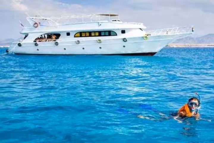 Boat cruise to Ras Mohamed and White Island with snorkeler in clear Red Sea water near Sharm El Sheikh