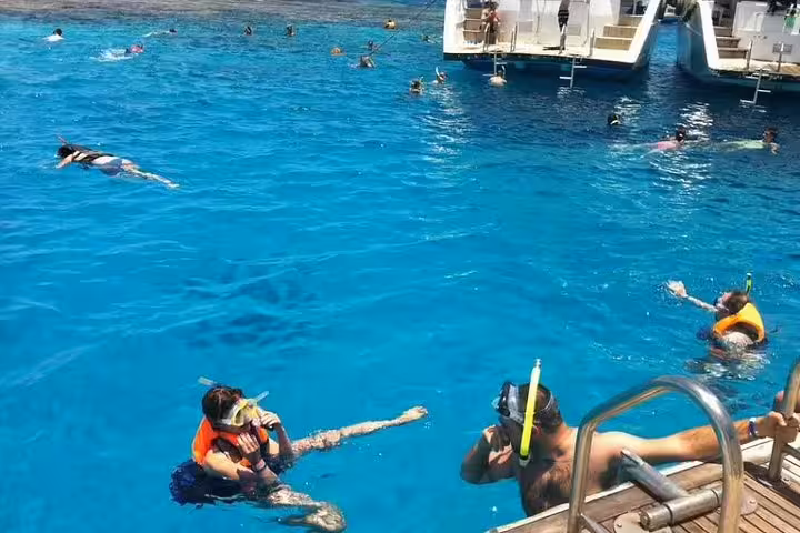 Guests snorkeling from boat platform in Ras Mohamed National Park, Red Sea, White Island cruise