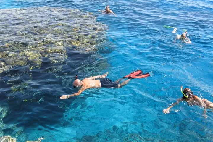 Snorkelers floating above vibrant coral at Ras Mohamed National Park and White Island day trip from Sharm El Sheikh