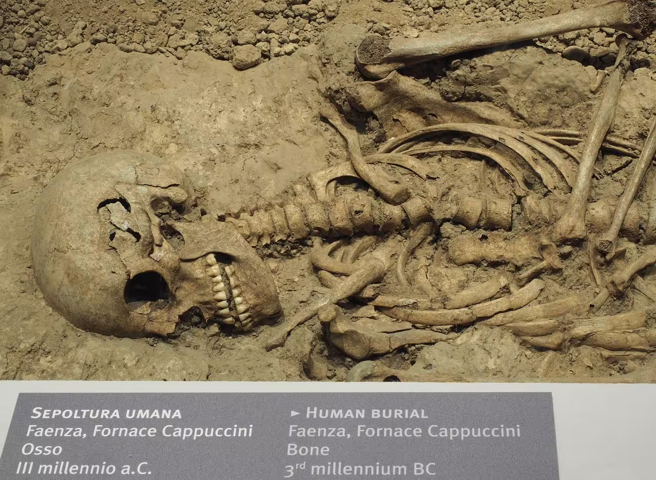 Ancient human burial skeleton exhibit at Ravenna Classis Museum, included with Ravenna entry ticket