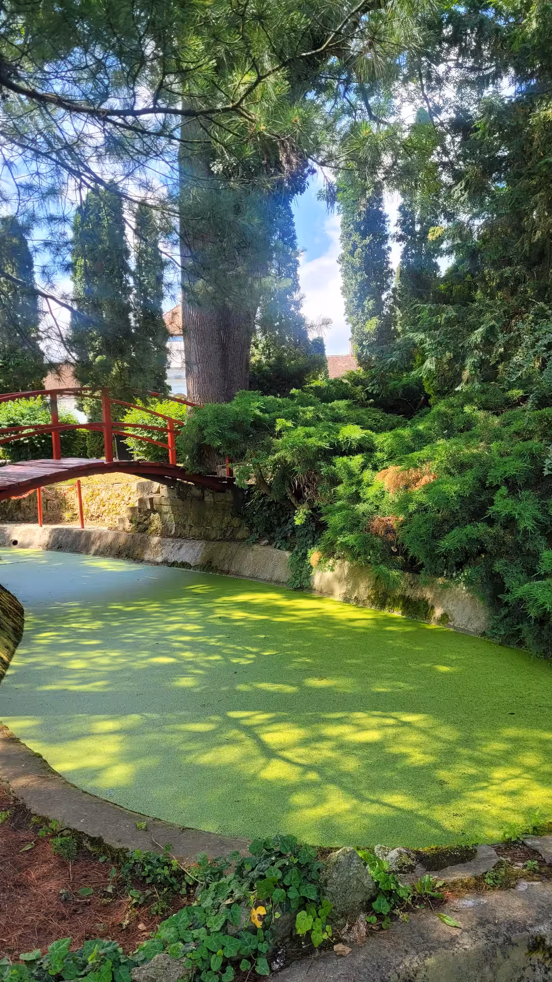 Red arched bridge over duckweed-covered pond surrounded by lush green trees in Salaj nature park