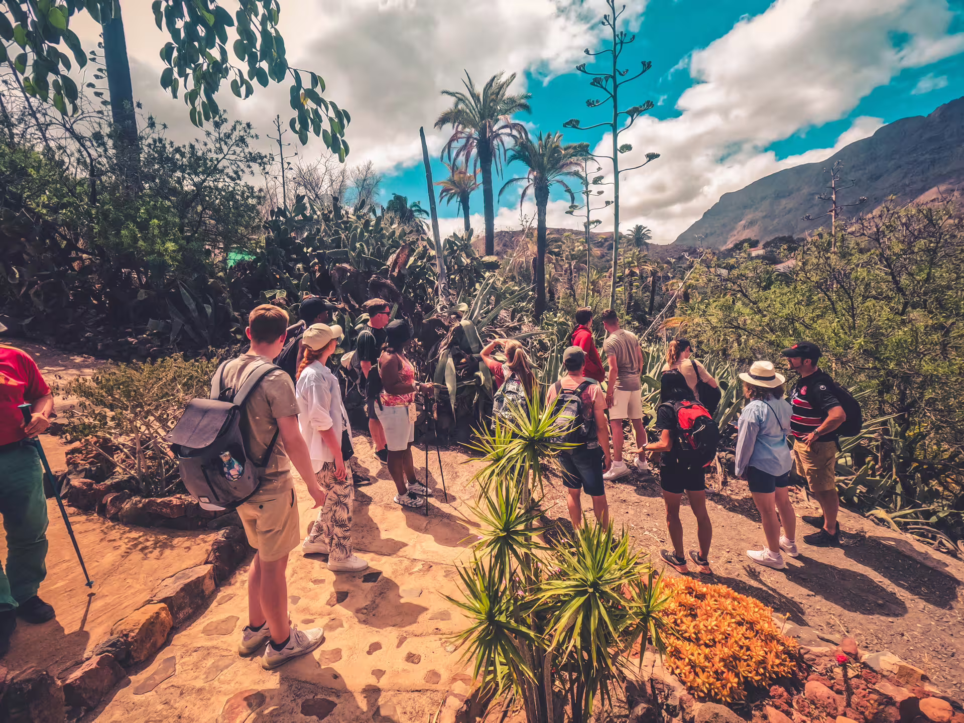 Group of tourists exploring lush vegetation and scenic views on the Red Canyon small group tour, perfect for nature enthusiasts.