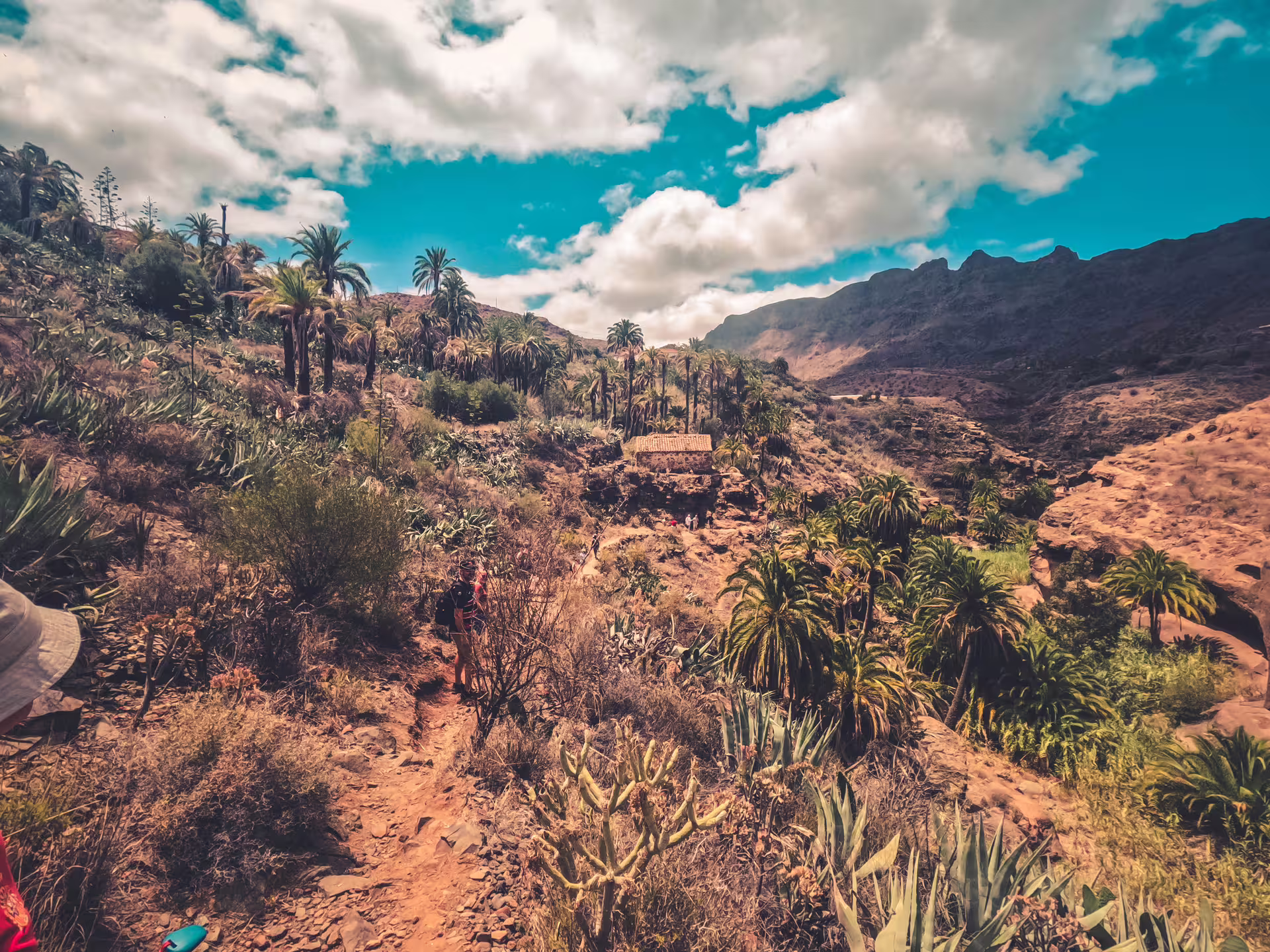 Explore the scenic Red Canyon trail with lush vegetation and rugged landscapes on our small group tour.