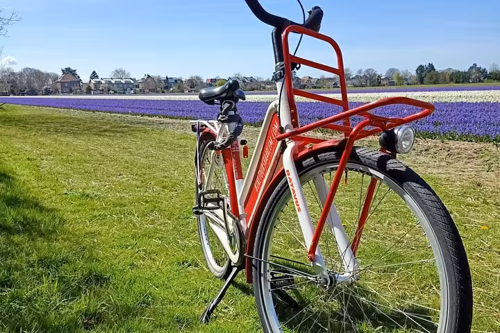 Red Dutch bike by colorful tulip fields near Haarlem, spring scenery on Highlight Bike Tours Haarlem