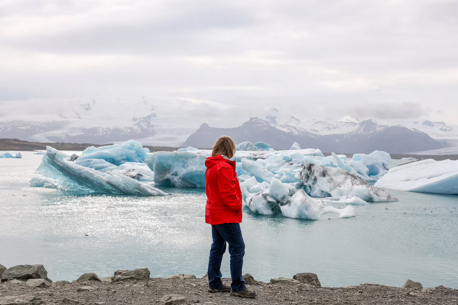 Traveler in red jacket gazing at stunning Jokulsarlon Glacier Lagoon icebergs during private Iceland South Coast tour