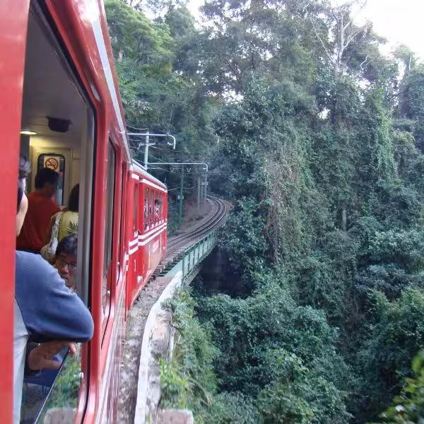 Red train travels through lush Tijuca Forest on the Christ the Redeemer and Tijuca Forest Private Tour.