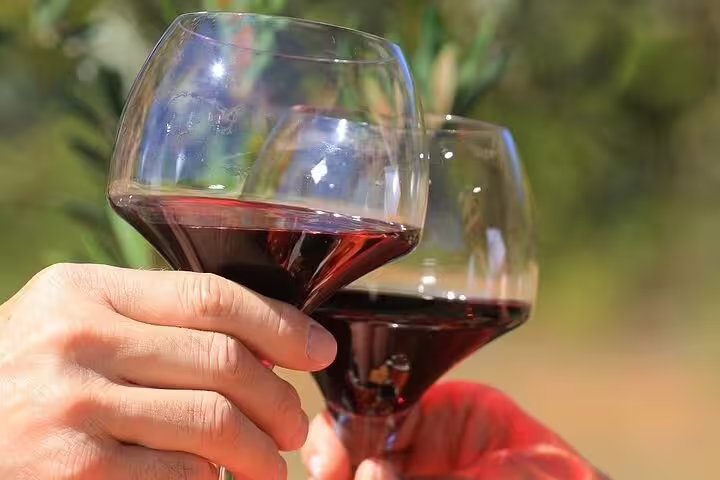Two hands clinking glasses of red wine outdoors during a wine tour in Chateauneuf du Pape