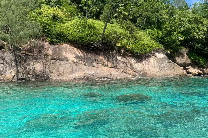 Explore crystal-clear waters and stunning rocky shores on the Reef Safari snorkeling day trip.