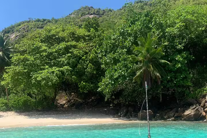 Discover pristine sandy beaches and lush greenery on the Reef Safari snorkeling and fish feeding tour.