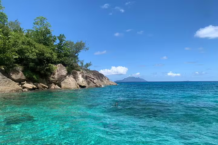 Scenic view of turquoise waters and lush greenery, perfect for snorkeling on the Reef Safari shared day trip.