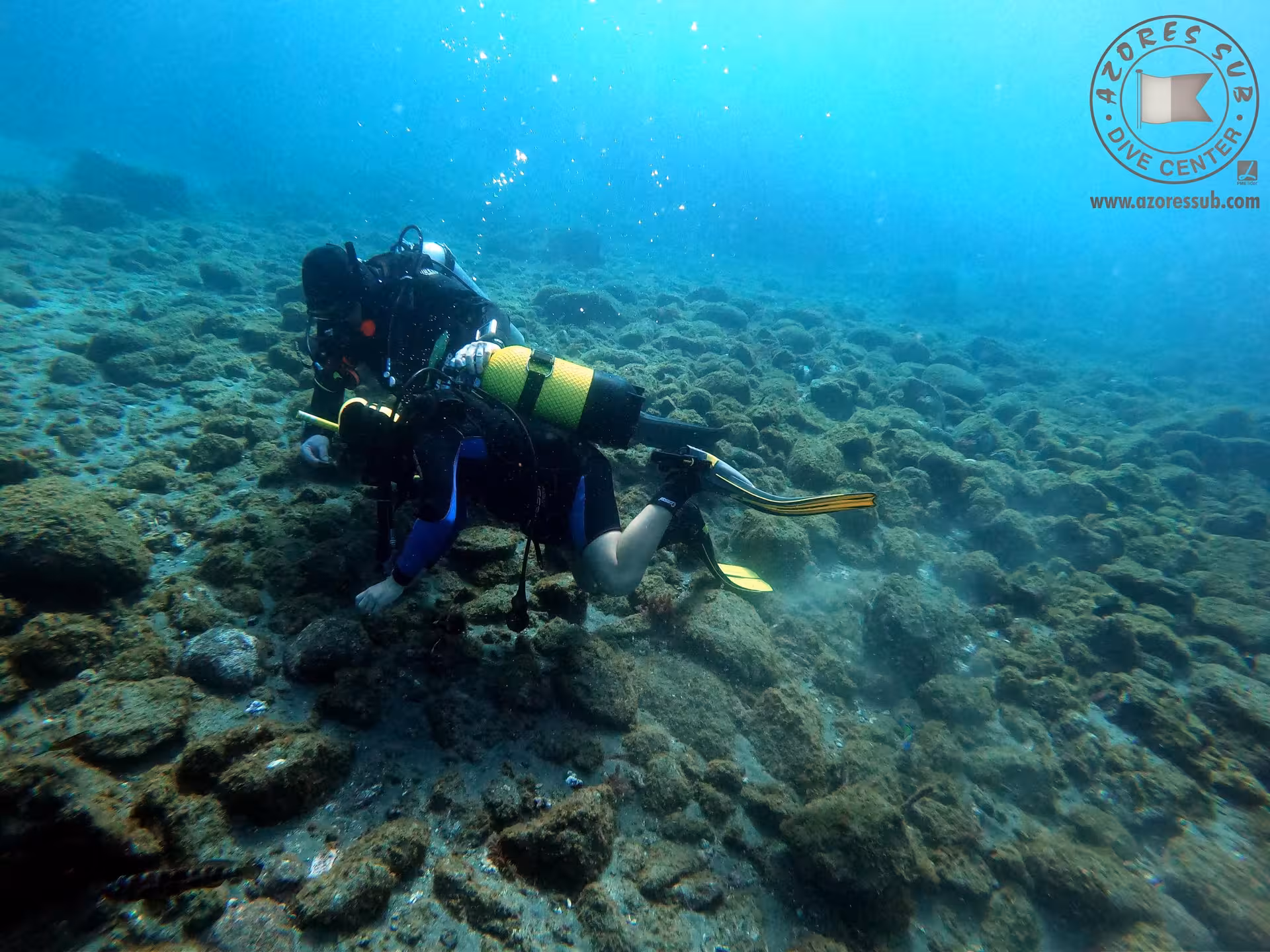 Refresh Dive scuba diver exploring a rocky seabed, practicing buoyancy skills in clear blue ocean water