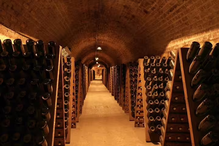 Champagne cellar tunnel in Reims lined with aging bottles on racks, featured on Paris day trip tasting tour