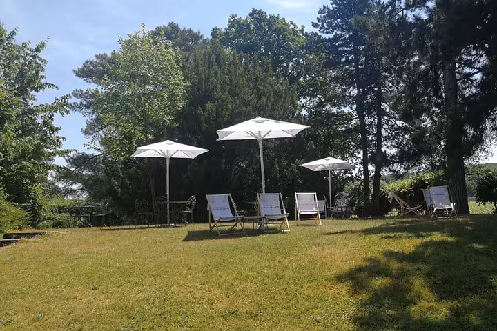 White sun loungers and parasols on green lawn surrounded by tall trees in Reims, France