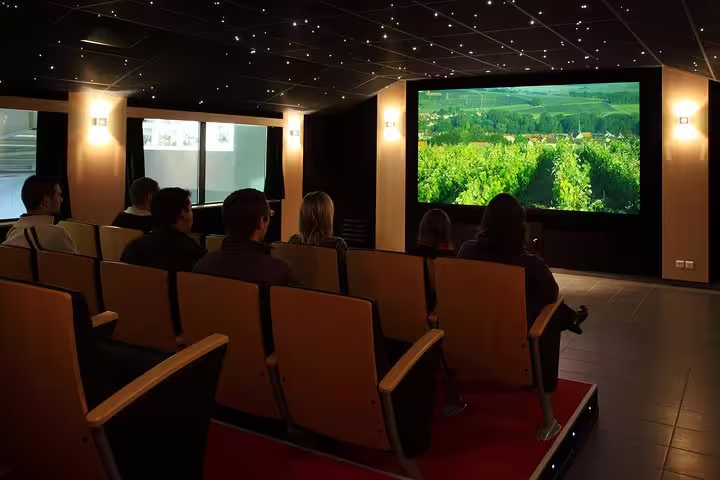 Visitors watch a vineyard film at a Champagne house near Reims on a tasting day trip from Paris