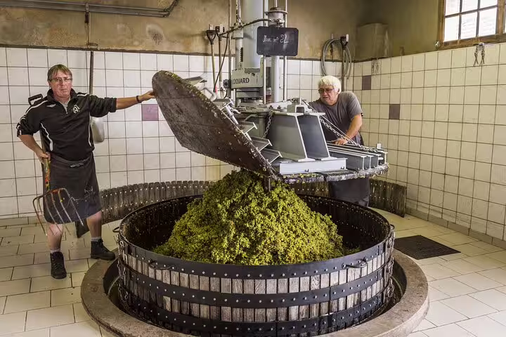 Winemakers in Reims press grapes for champagne production on a private day trip from Paris, featuring a French lunch.