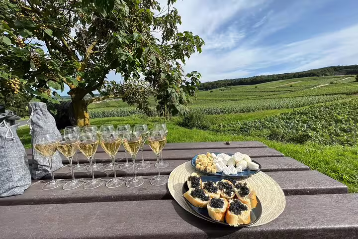 Picnic-style Champagne tasting in the Reims vineyards with sparkling wine and snacks on a Paris day trip