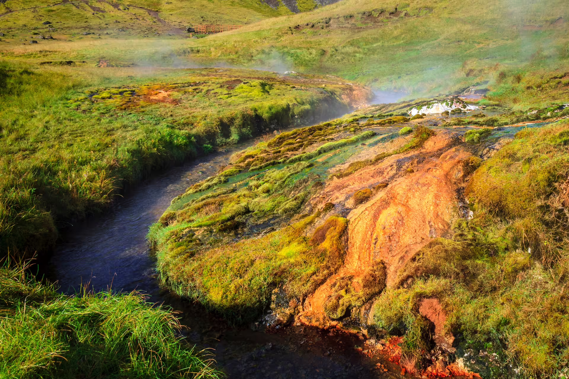 Warm Reykjadalur hot river winding through mossy hills and colorful geothermal deposits on a private hike in Iceland
