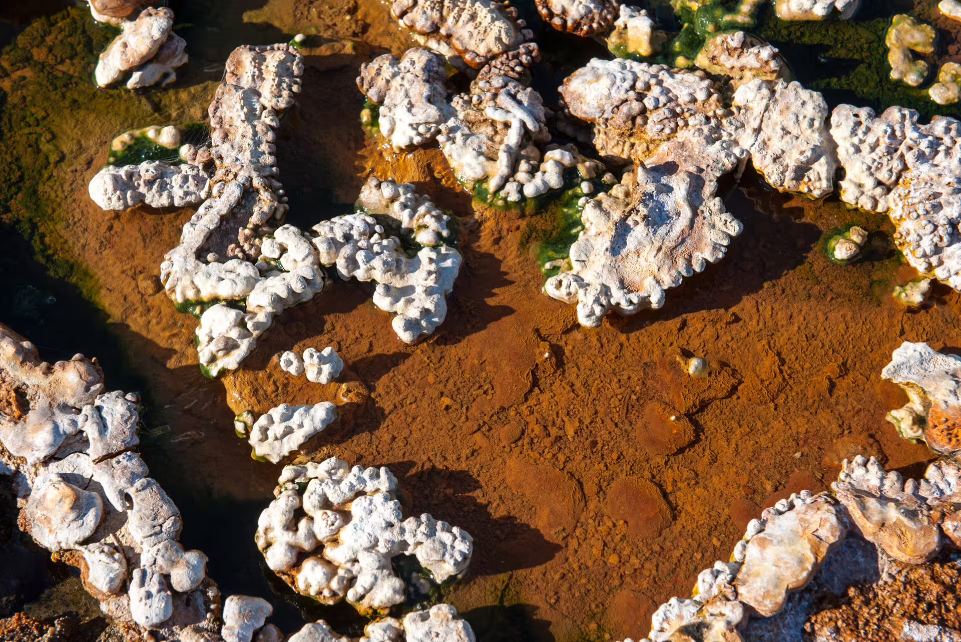 Close-up of mineral deposits and geothermal mud near Reykjadalur hot river on a private hike in Iceland