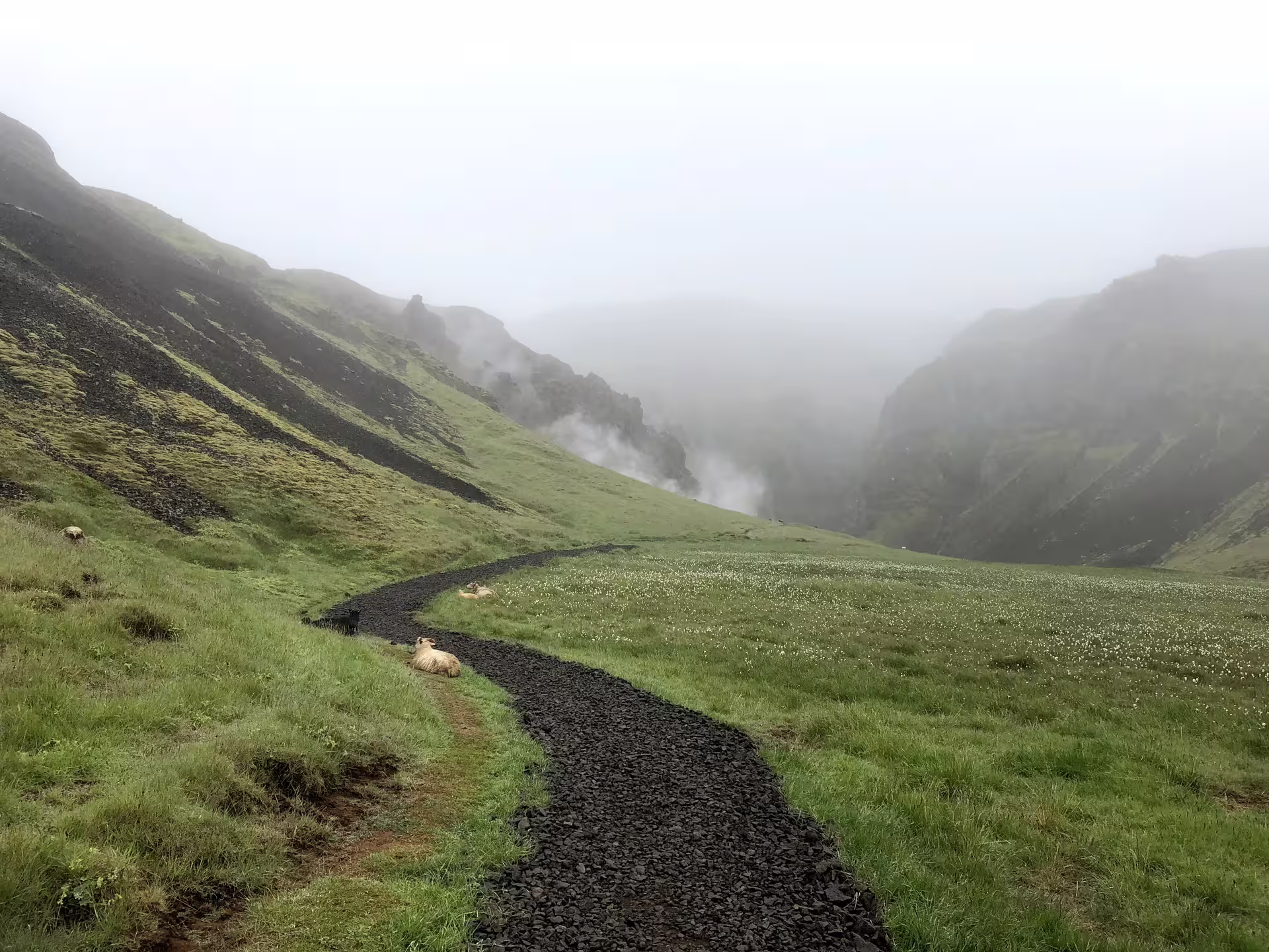 Scenic view of Reykjadalur Valley's lush green landscape with a winding path leading towards the steamy hot river.