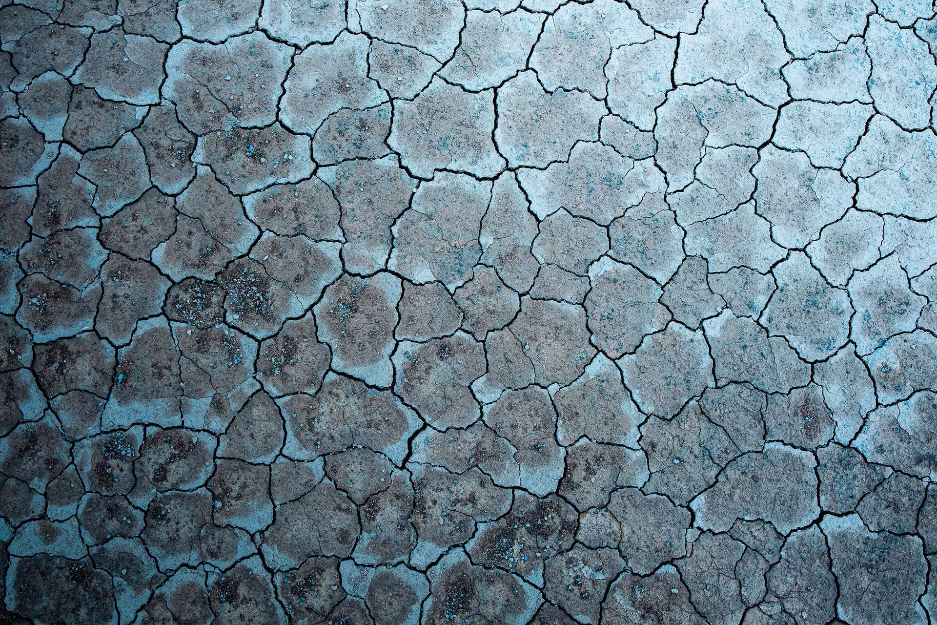 Cracked dry earth texture with blue-tinted mud polygons on Reykjanes Peninsula, Iceland