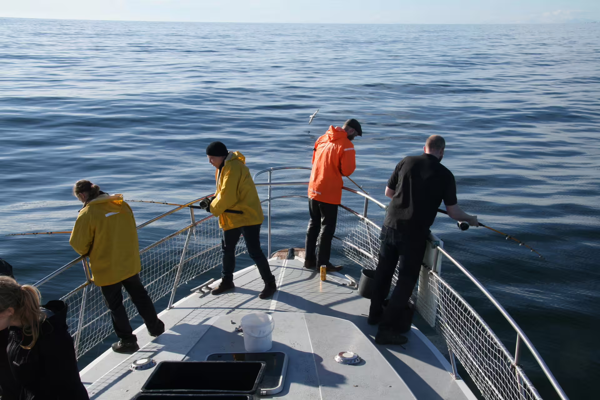 Four people fishing from the bow of a boat on calm open sea near Reykjavik