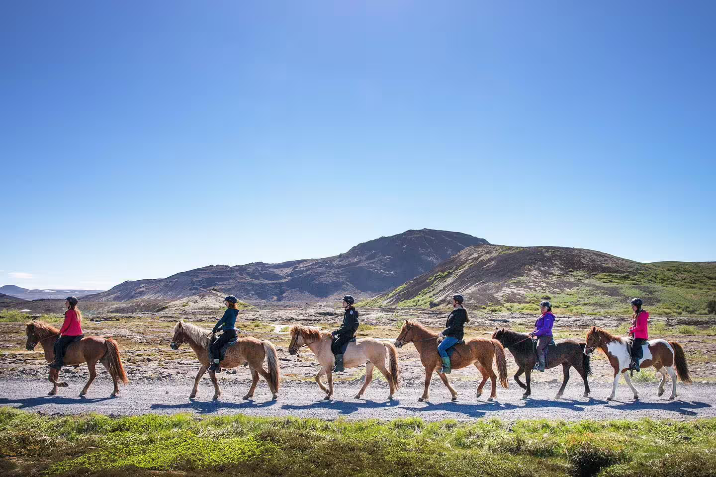 Group of six riders on Icelandic horses trekking single file through volcanic landscape near Reykjavik