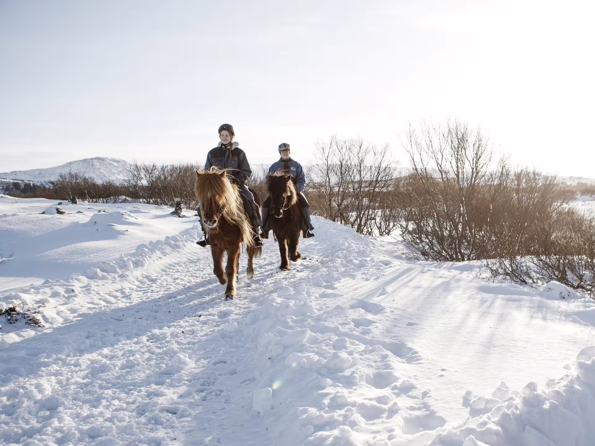 Two riders on Icelandic horses trekking through a snowy winter landscape near Reykjavik