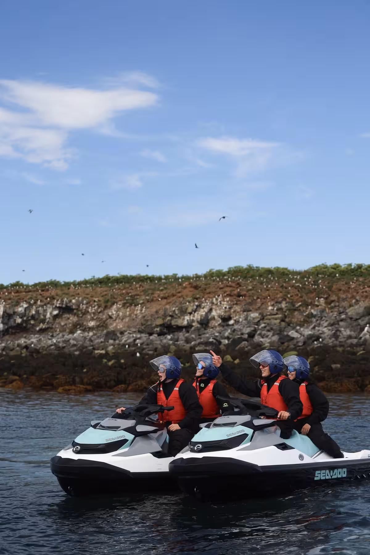 Four people in helmets and life vests riding Sea-Doo jet skis near rocky coastline with seabirds in Iceland