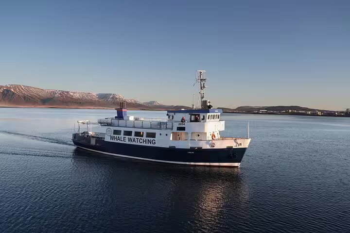 Whale watching boat sailing calm waters near snow-capped mountains in Reykjavik Iceland