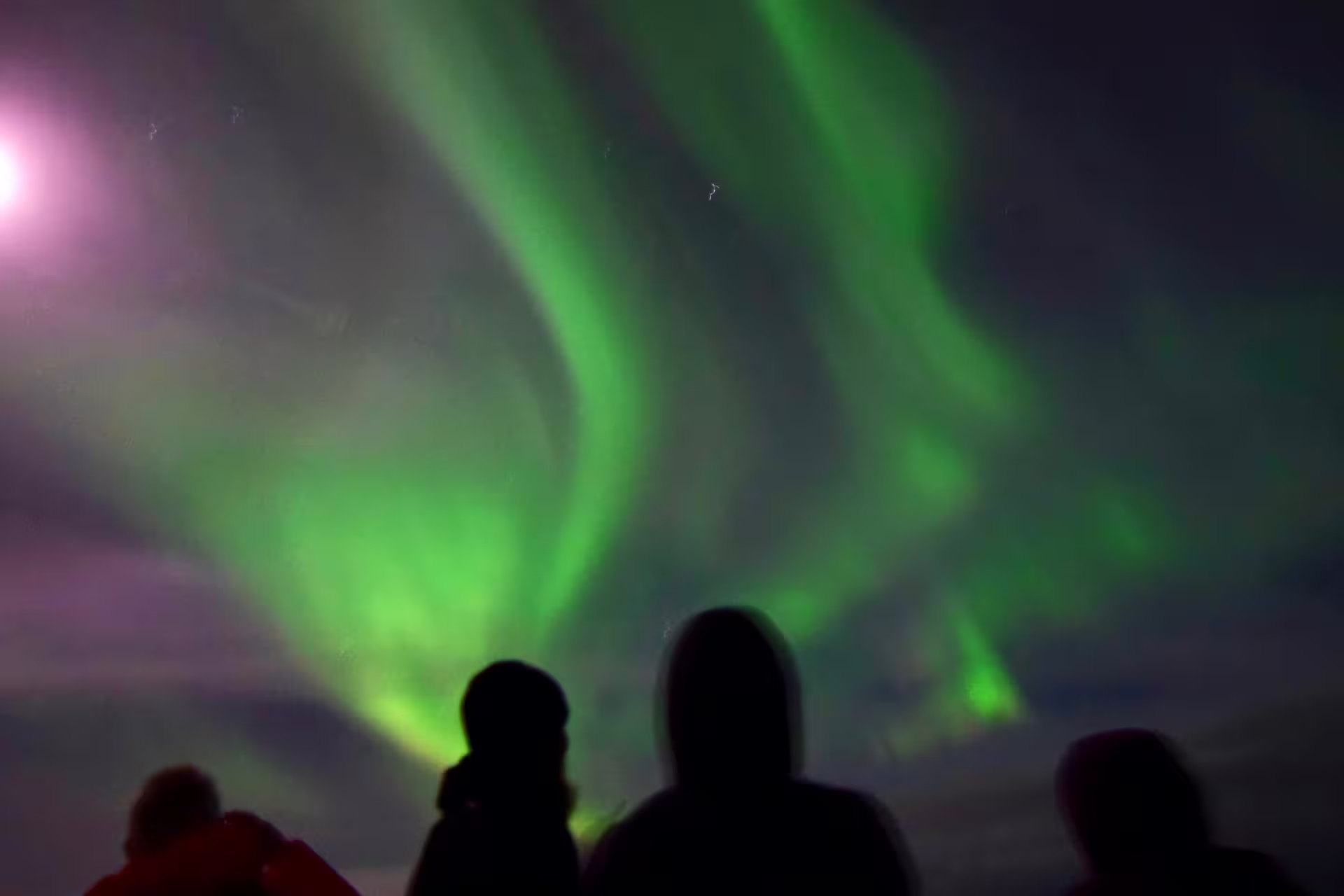 Silhouettes of people watching vibrant green northern lights aurora borealis swirling across night sky in Reykjavik