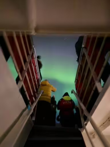 Two guests in colorful jackets on ship stairs watching northern lights glow green over Reykjavik waters