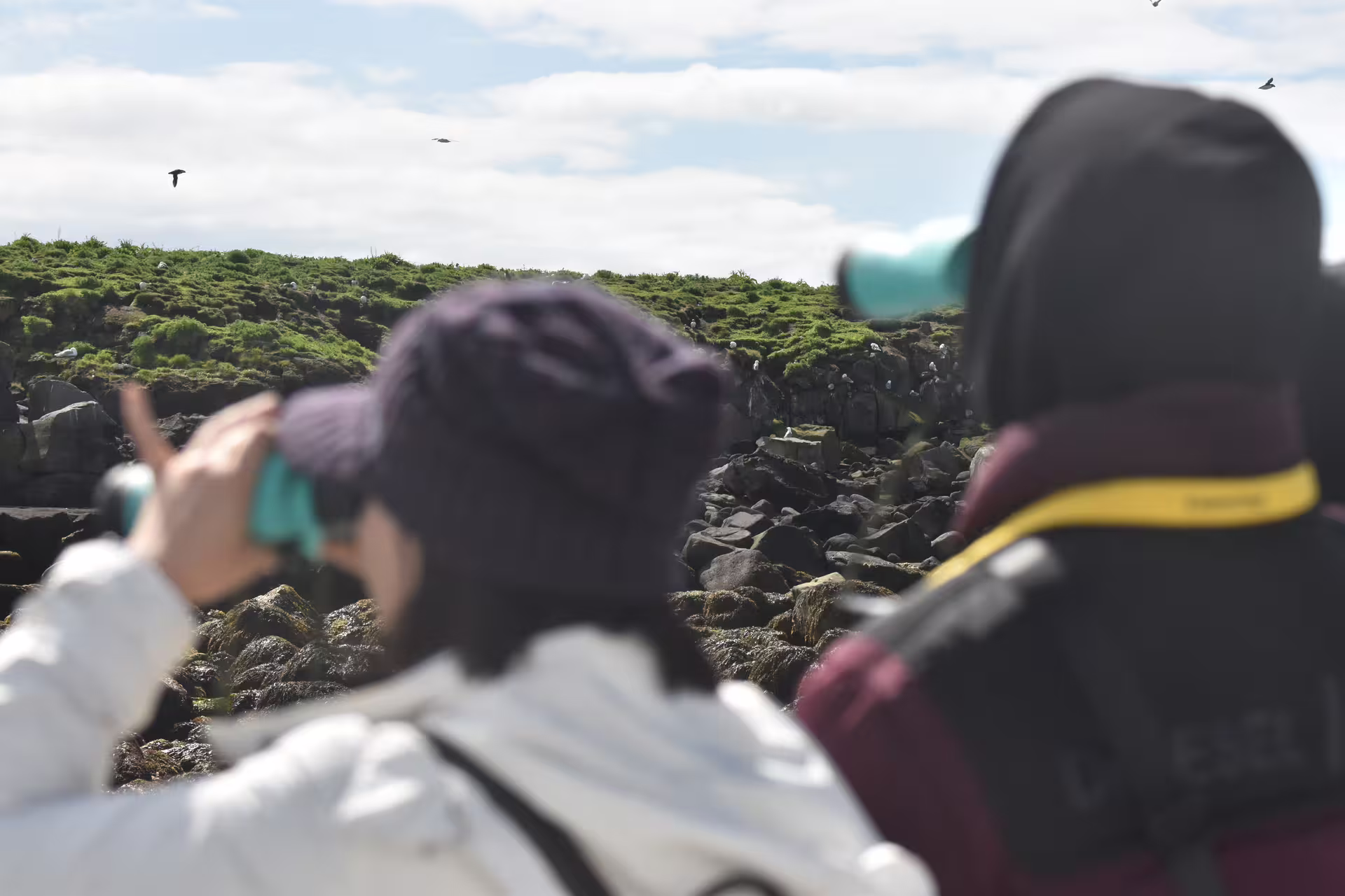 Tourists photographing puffins and seabirds on rocky Iceland island cliffs during Reykjavik puffin boat tour