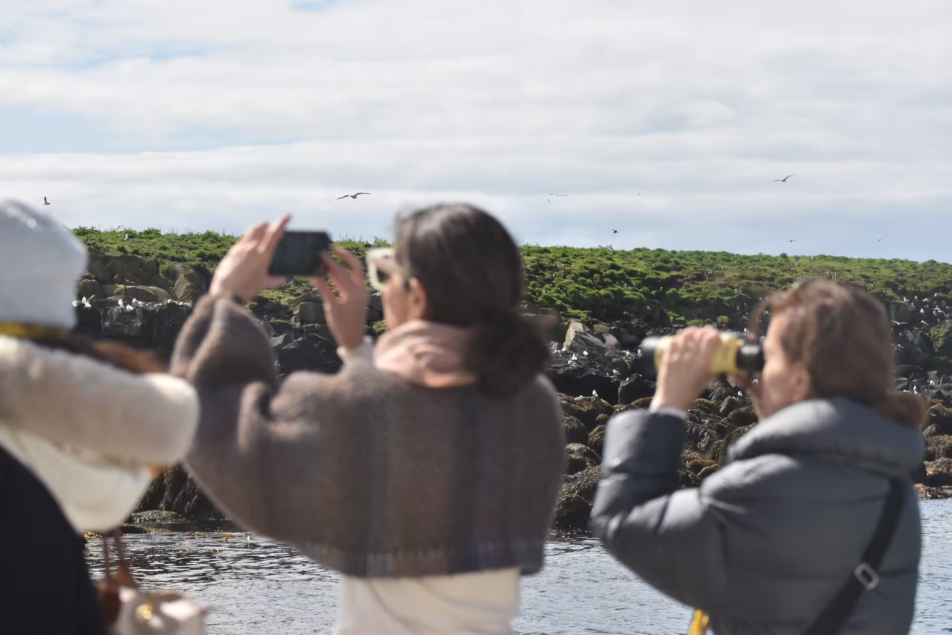 Tourists photographing and using binoculars to spot seabirds on a puffin watching boat tour from Reykjavik
