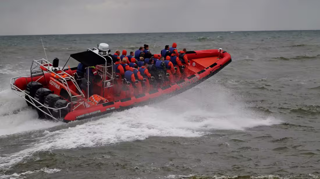A cover photo for a whale watching speedboat tour featuring people in RIBs and whales
