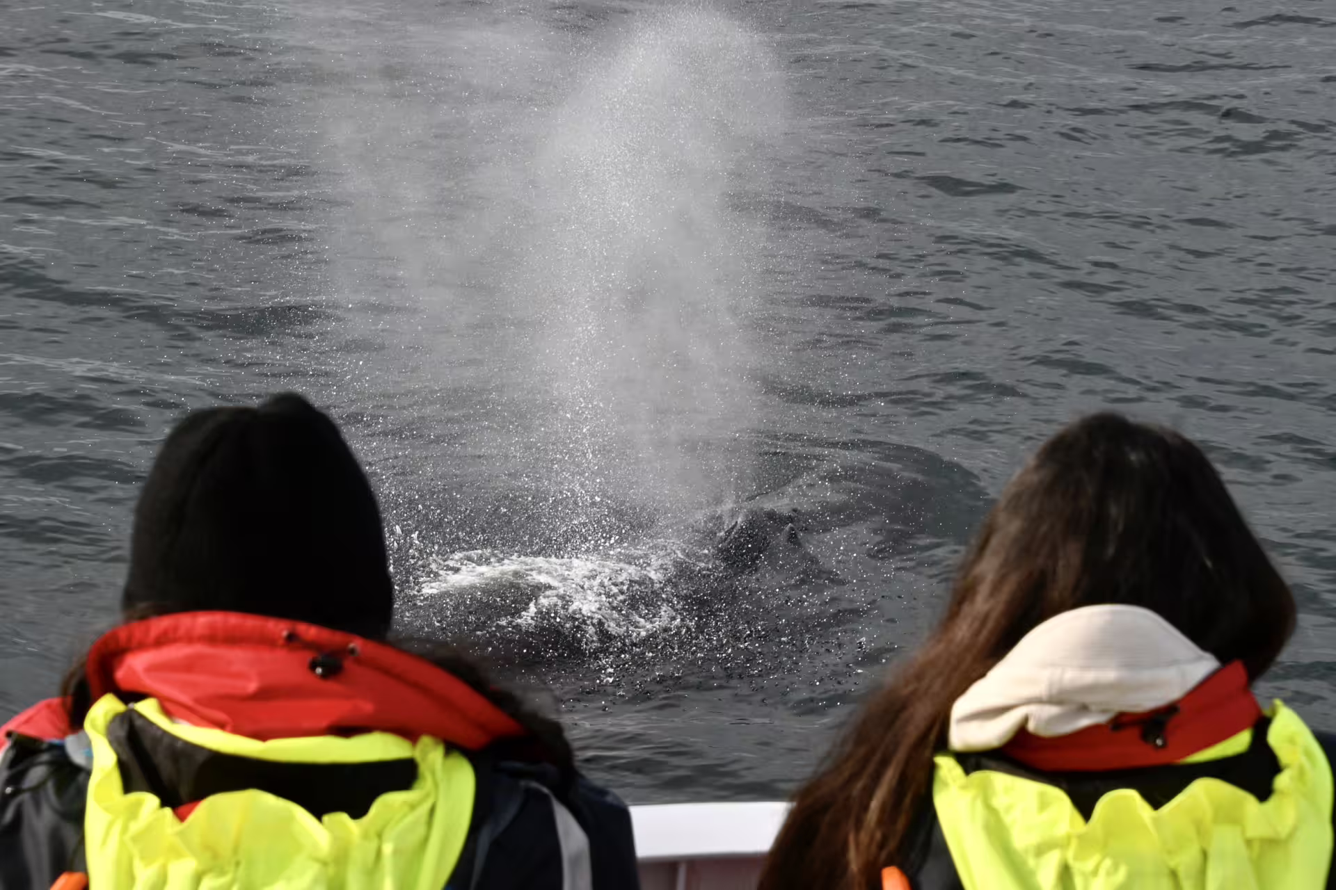 Two whale watchers in yellow jackets watching a whale blow spray from a boat in Reykjavik Iceland