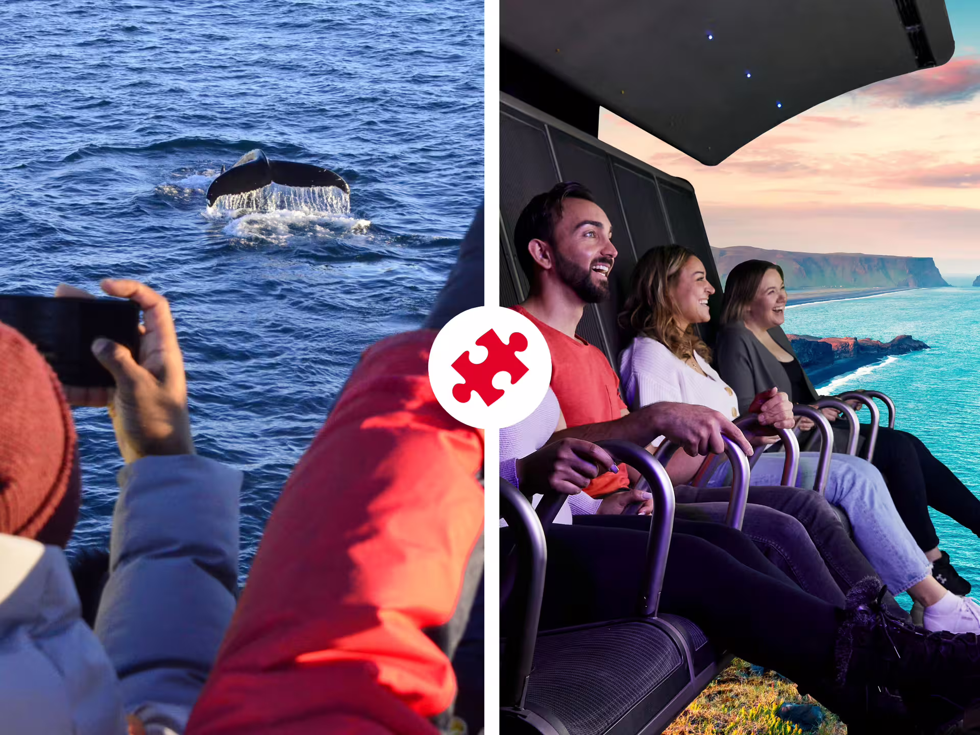 Whale tail spotted during Reykjavik whale watching tour and three visitors enjoying FlyOver Iceland flight simulator
