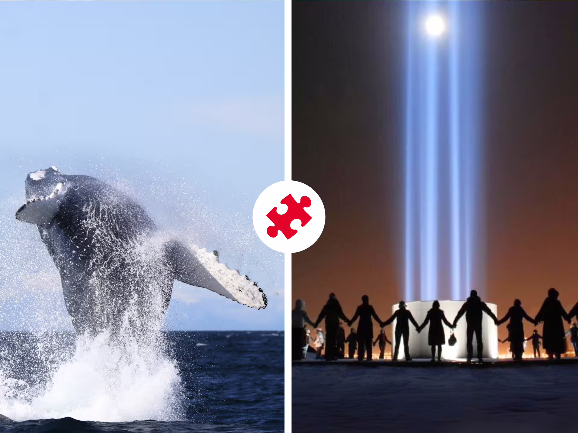 Humpback whale breaching ocean alongside silhouettes holding hands around Imagine Peace Tower lights in Reykjavik