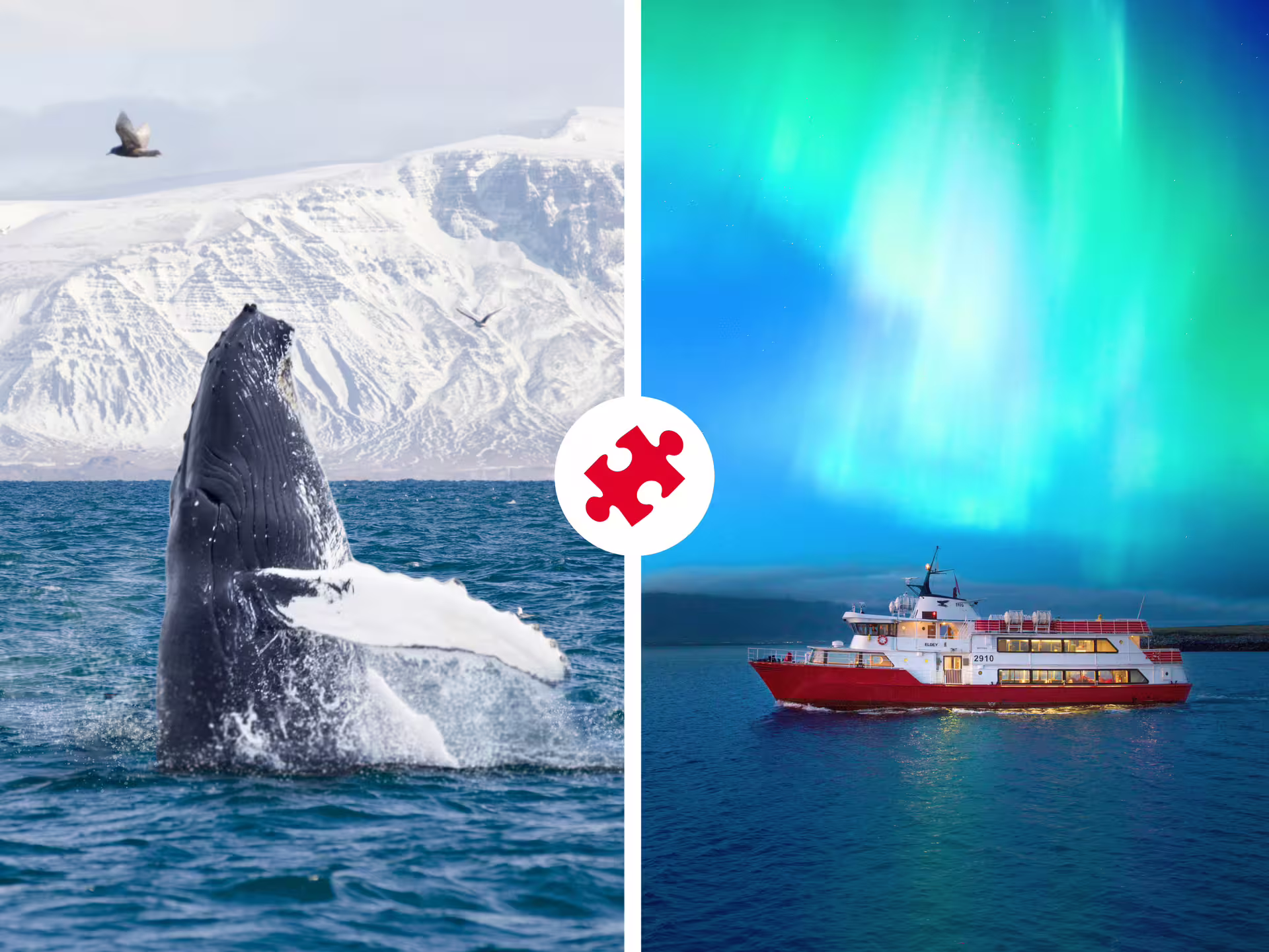Humpback whale breaching icy waters beside a red cruise ship under vibrant green northern lights in Reykjavik