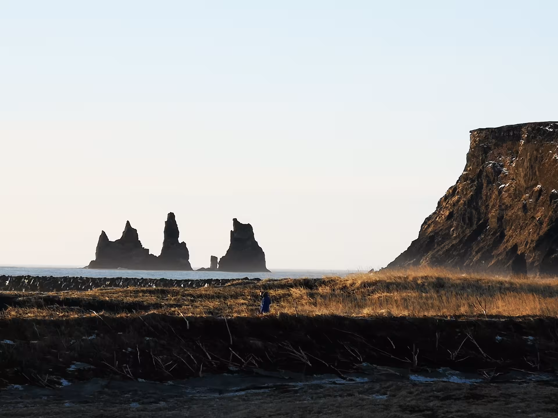 Reynisdrangar black rock sea stacks off Iceland's South Coast with dramatic cliffs and golden grasslands