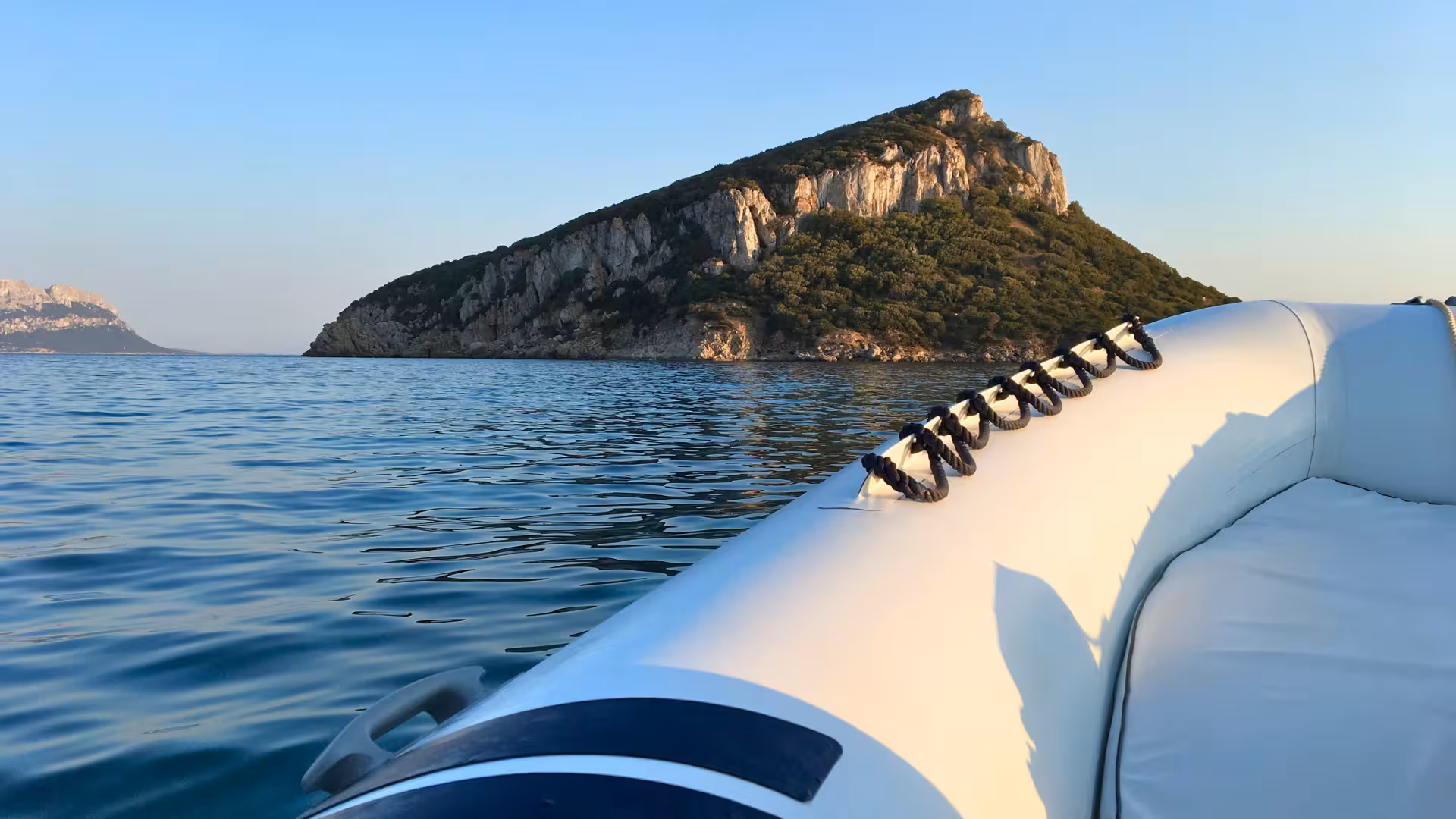 RIB boat cruising near rocky coastline in Golfo Aranci, perfect for dolphin watching and scenic tours.