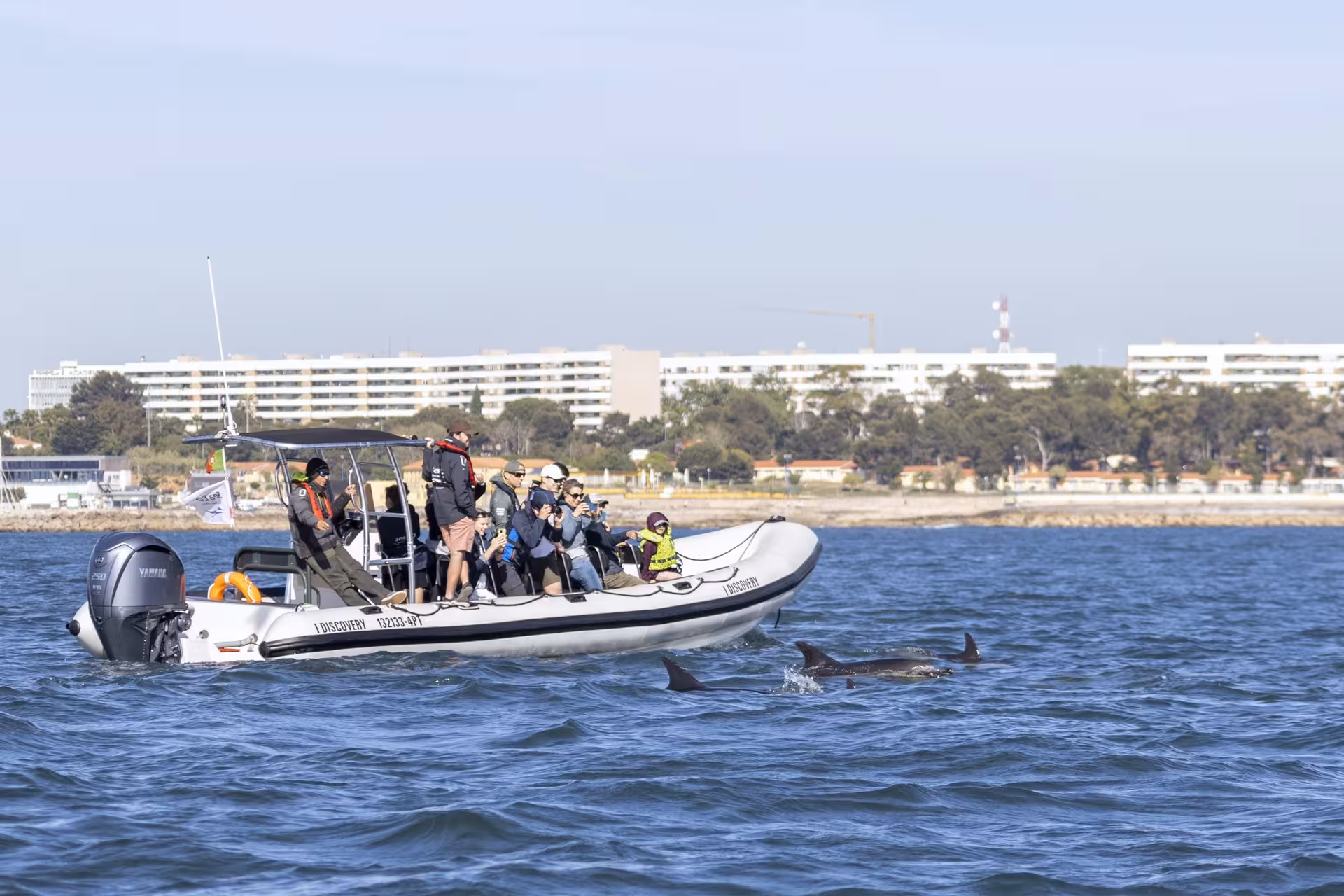RIB boat dolphin watching tour in Lisbon with guests photographing dolphins near the Tagus River coastline