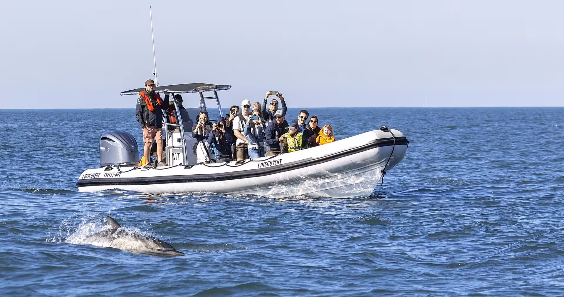 RIB boat dolphin watching tour from Lisbon with passengers photographing a dolphin surfacing beside the boat