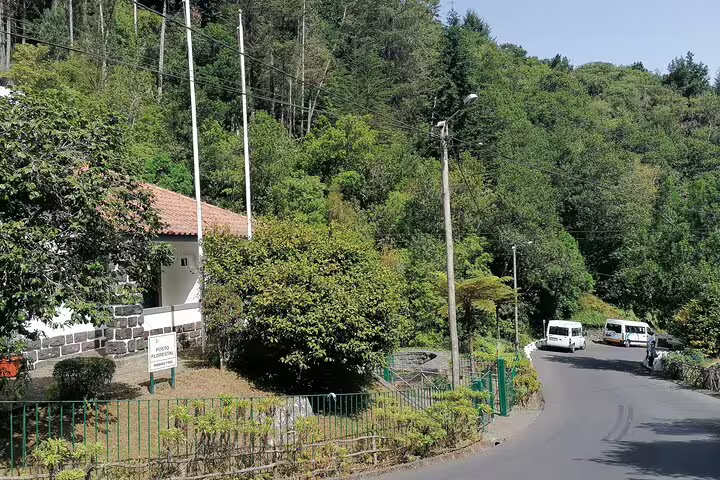 Charming road in Ribeiro Frio, Madeira surrounded by lush greenery, ideal for scenic drives and nature exploration.