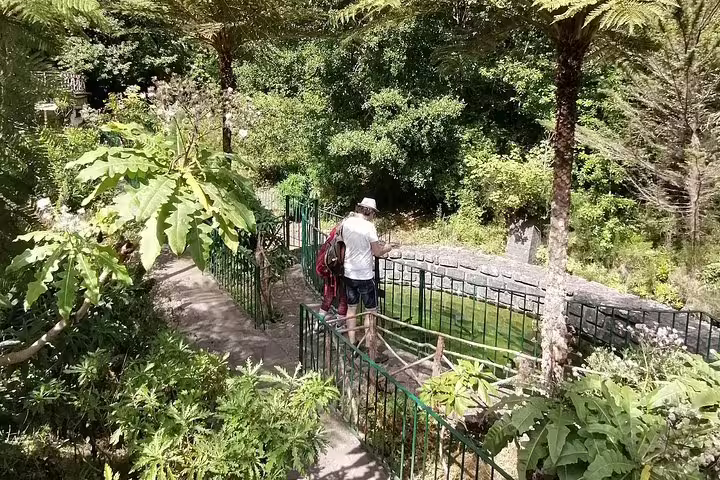Visitors explore lush greenery along a scenic path in Ribeiro Frio, surrounded by vibrant foliage and tranquil nature.